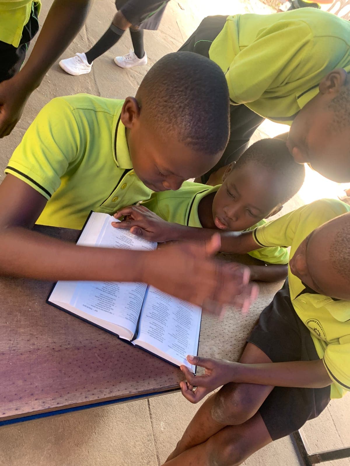 Two friends sharing a reading book