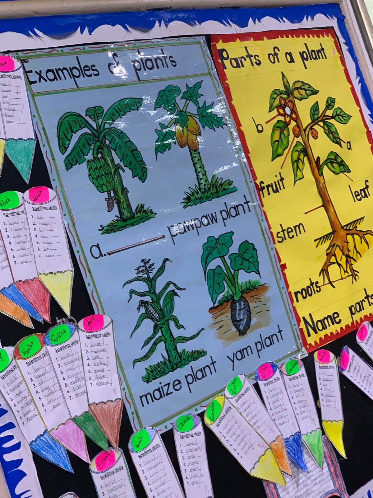 Science charts and pupils' work on display